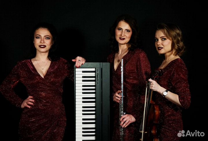 Музыканты на мероприятие