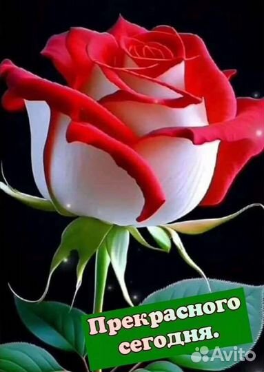 Альгинатная маска,нанесение.Пилинг