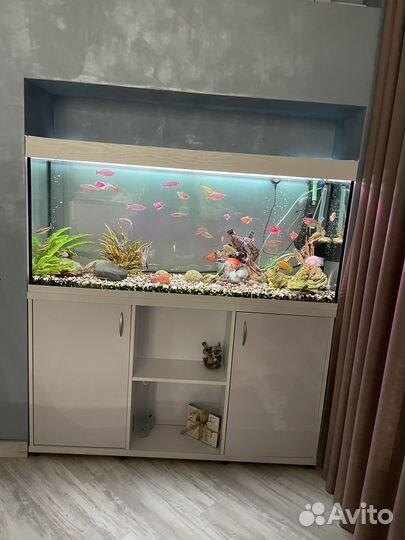 Аквариум с тумбой белый