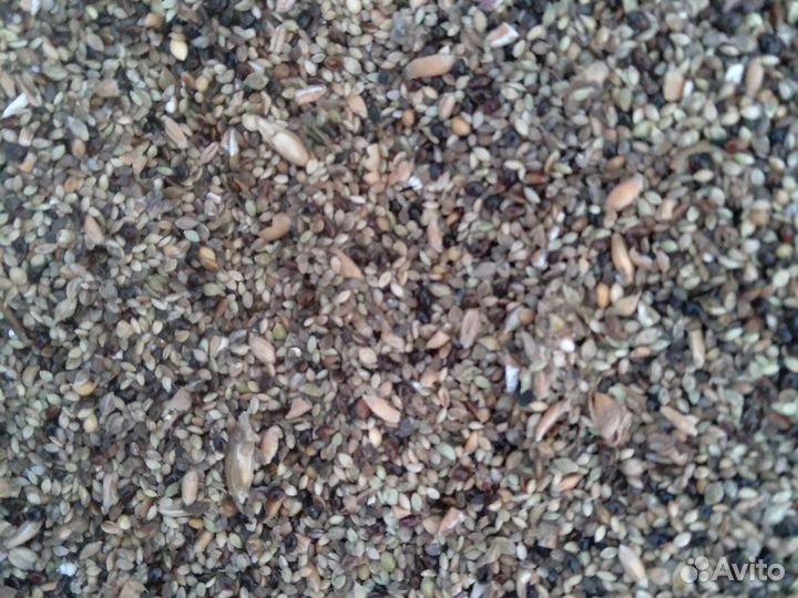 Зерноотходы, пшеница, ячмень