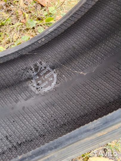 Cordiant Snow Cross 2 205/55 R16