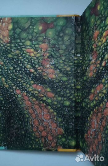 Книги про динозавров