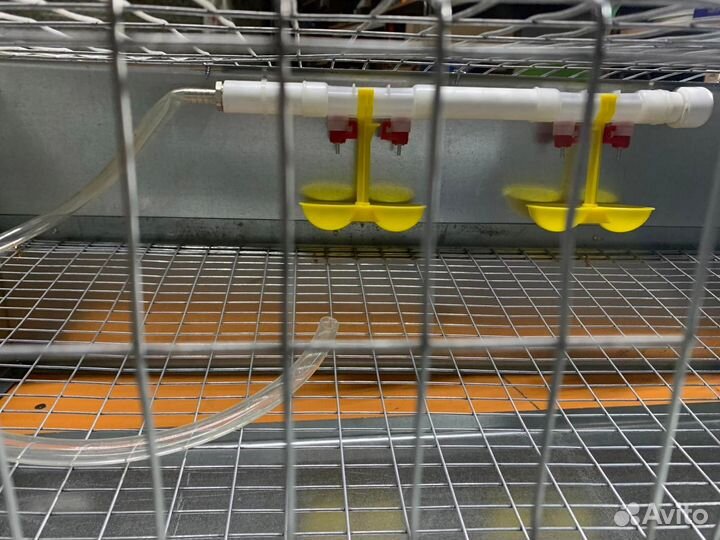 Клетки для перепелов