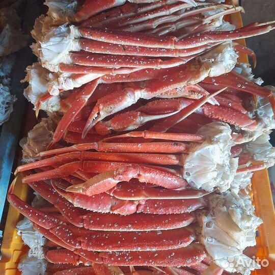 Клешни краба стригуна