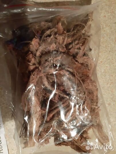 Красный корень (Алтай)