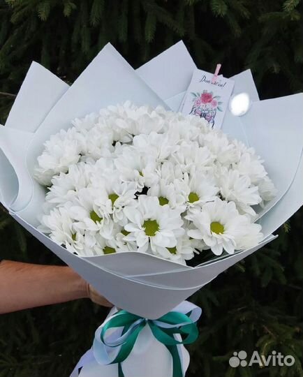 Букет Хризантем с Доставкой, Цветы Хризантемы