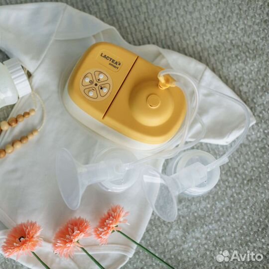 Молокоотсос лактея