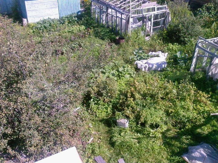 Дача 25 м² на участке 3,8 сот.