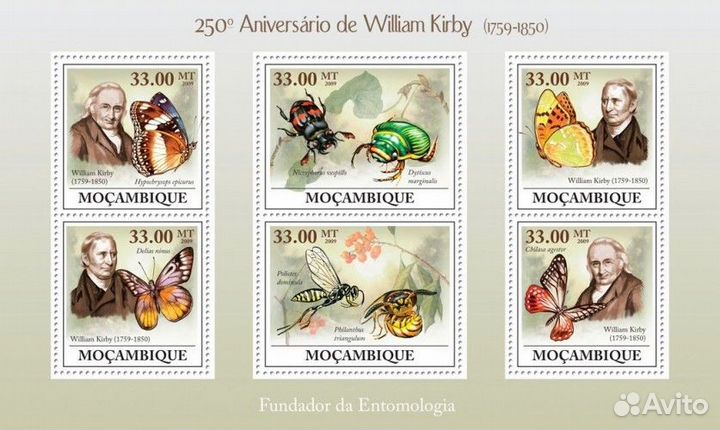 Мозамбик, 2009. Бабочки (мл+блок)