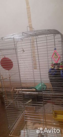 Клетка для среднего попугая