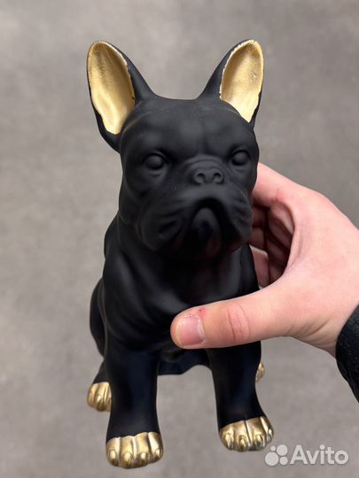 Французский бульдог интерьер