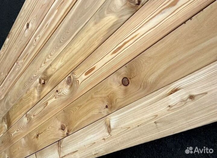 Планкен болшьшой выбор