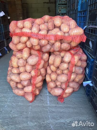 Продукты питания