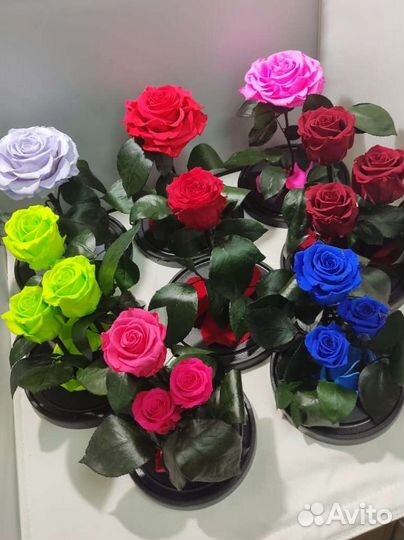 Роза в колбе оптом и в розницу