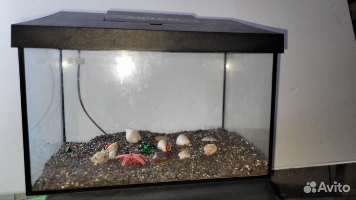Аквариум