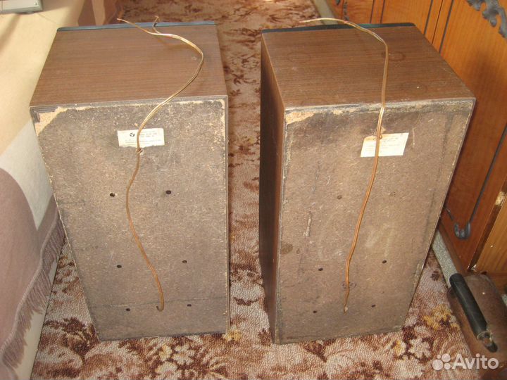 Колонки Вега 50 ас-106