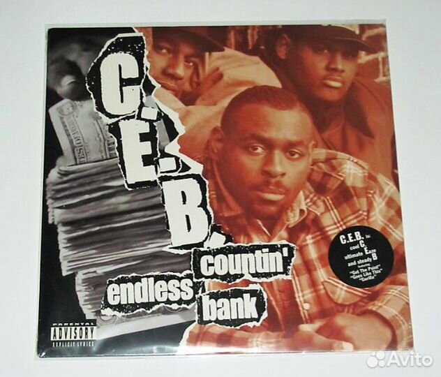 Public Enemy,Showbiz & A.G. винил