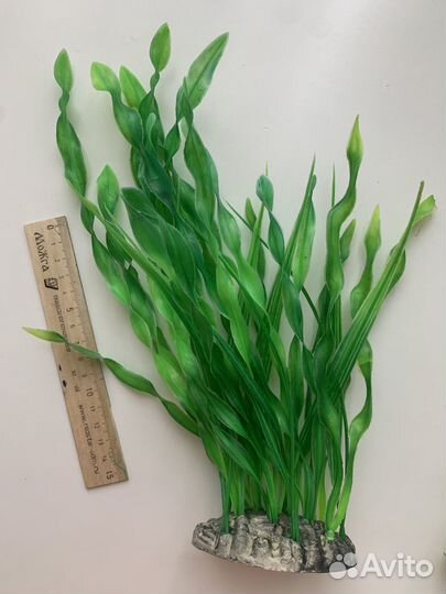 Обмен на анубиас Украшение для аквариума