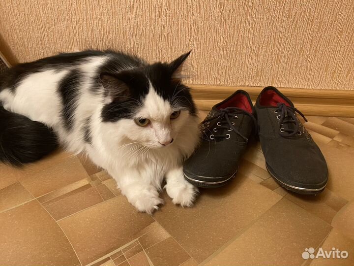 Женские туфли кеды тапочки