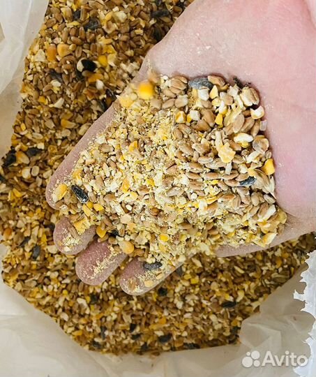 Корма для сельхоз животных (зерносмеси) опт/розниц