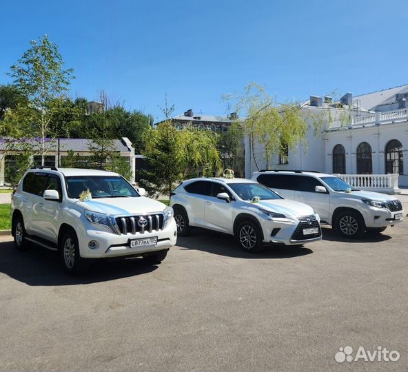 Аренда свадебных авто, украшения, кортеж