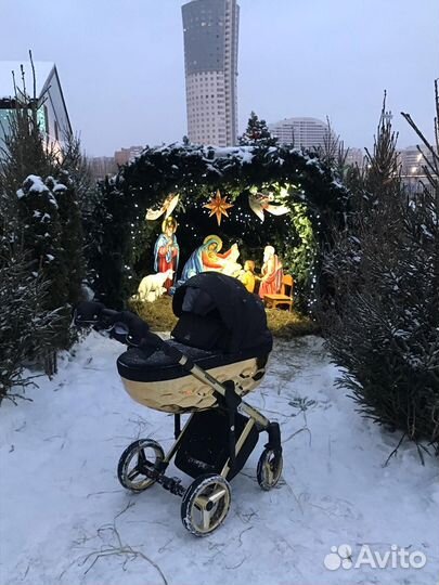 Коляска 2 в 1 adamex chantal