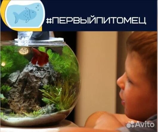 Аквариумные товары