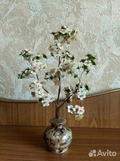 Дерево бонсай