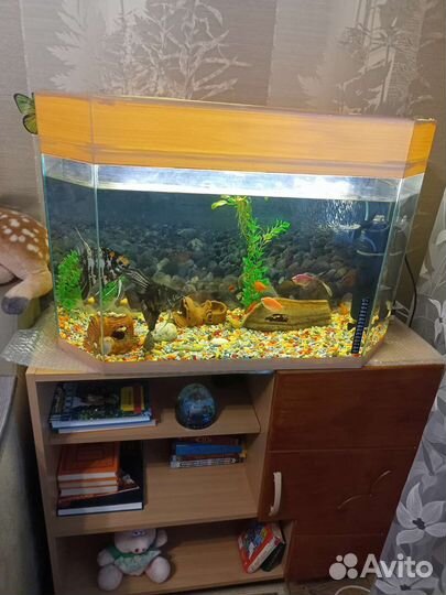 Аквариум на 100 л с тумбой и рыбками