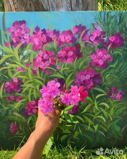 Картина «флоксы»