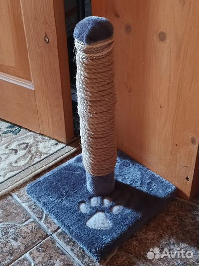 Когтеточка для кошек
