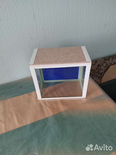 Аквариум на 10 литров