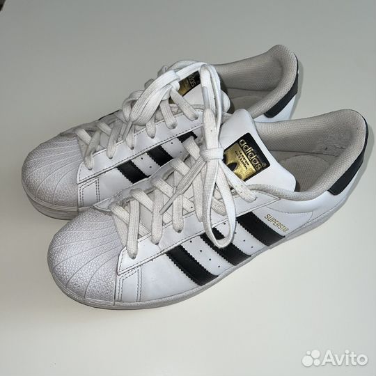 Кеды adidas superstar