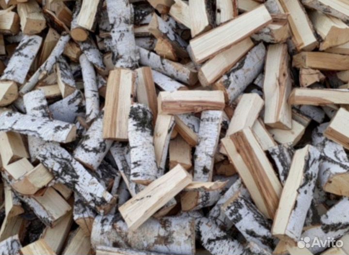 Дрова береза