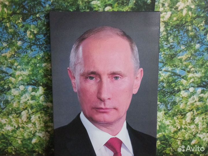 Портрет В. В. Путина