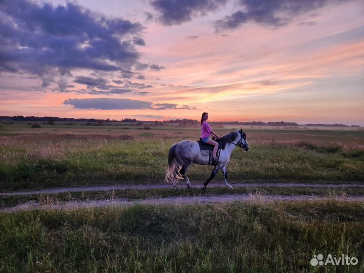 Прогулки на лошадях