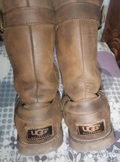 Сапоги UGG оригинал