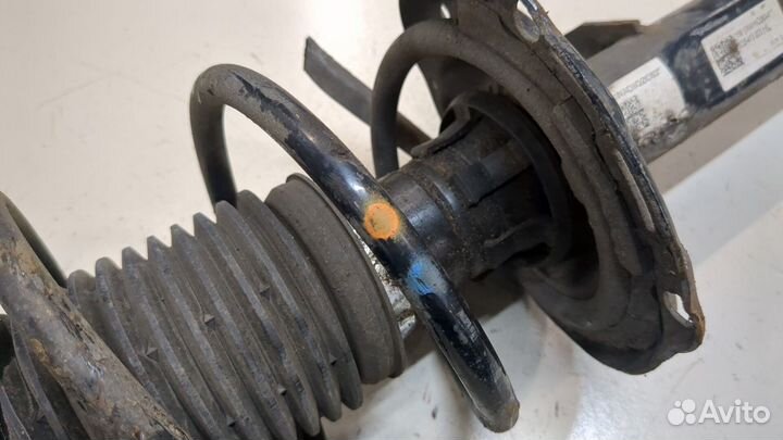 Амортизатор подвески Skoda Octavia (A7), 2018