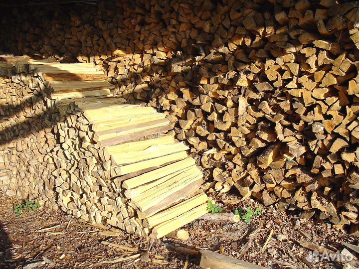 Дрова осиновые