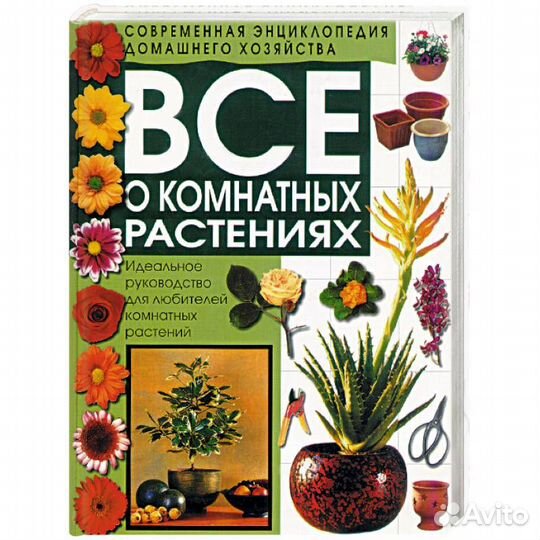 Все о комнатных растениях Борисов