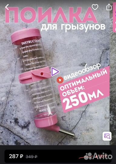 Кролик карликовый рекс