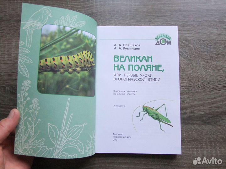 Плешаков Великан на поляне(Зеленый дом) 2021 г.(но