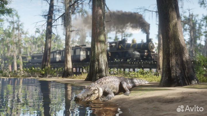 Red Dead Redemption 2