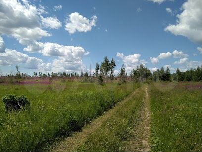 Участок 50 сот. (ИЖС)