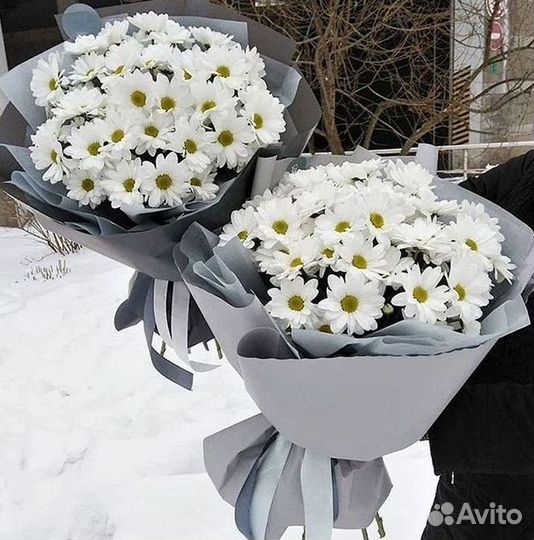 Хризантема