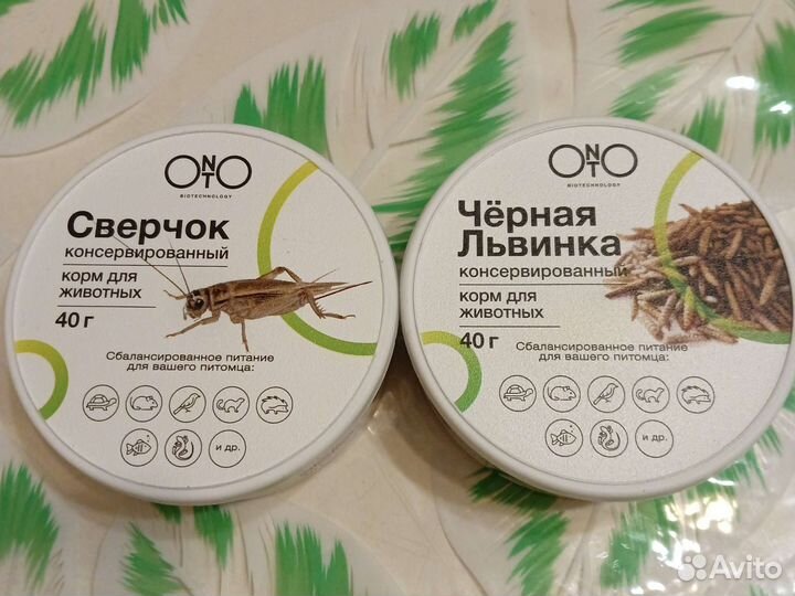 Кормовые насекомые