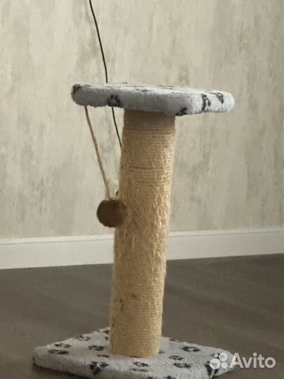 Когтеточка для кошек