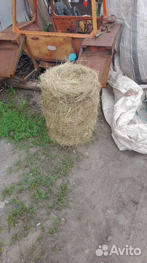 Сено луговое в тюках