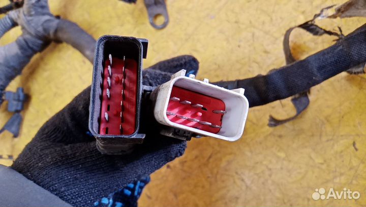 Проводка (коса) Sebring/Dodge Stratus