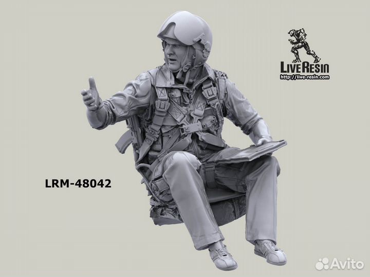 Миниатюра Live Resin LRM48042